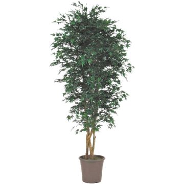 Erable du Japon artificiel KESCHA, troncs naturels, vert, 125cm - Made in Italy
