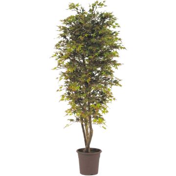 Érable du Japon artificiel KESCHA, troncs naturels, vert-rouge, 125cm - Made in Italy