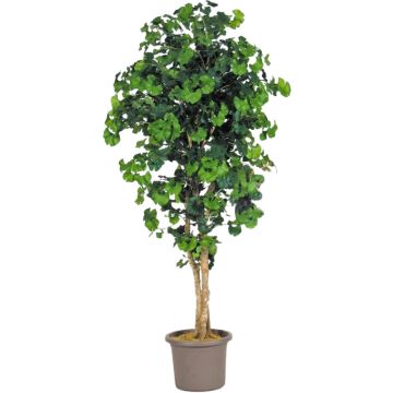 Ginkgo artificiel LUDOWIKA, troncs en bois véritable, vert, 125cm - Made in Italy Ginkgo artificiel LUDOWIKA, troncs en bois véritable, vert, 125cm - Made in Italy