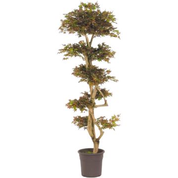 Arbre décoratif Érable du Japon SLAWIK, tronc en bois véritable, vert-rouge, 185cm - Made in Italy