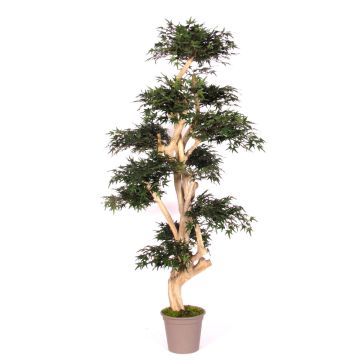 Arbre décoratif Érable du Japon SLAWIK, tronc en bois véritable, vert, 150cm - Made in Italy