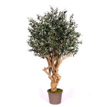 Olivier artificiel COTARIO, tronc en bois véritable, avec des fruits, 225cm - Made in Italy
