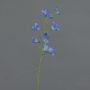 Campanule en soie GISELA, bleu, 65cm, Ø5cm