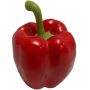 Légume artificiel Poivron REKLA, rouge, 8cm, Ø7,5cm
