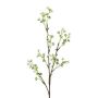 Branche décorative Gypsophile BRISLO, blanc, 65cm