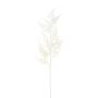 Branche artificielle Asparagus Plumosus VORLON, crème, 85cm