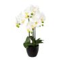 Orchidée Phalaenopsis artificielle UKERNA dans un cache-pot en résine, blanc, 55cm