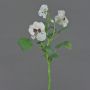 Branche décorative Pensée SIANIE, blanc, 35cm, Ø4-6cm