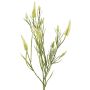 Branche décorative Trèfle EUTIN avec des fleurs, blanc-vert, 80cm