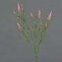 Branche décorative Trèfle EUTIN avec des fleurs, vieux rose-vert, 80cm