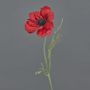 Anémone artificielle OKAPI, rouge, 55cm, Ø10cm