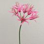Lis d'araignée artificiel LUCHO, rose, 70cm