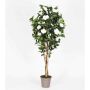 Faux camélia JEMIMANE, troncs naturels, avec des fleurs, blanc, 175cm - Made in Italy