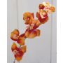 Orchidée Phalaenopsis artificielle ZAFIRA, piquet, orange-jaune, 75cm