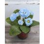 Pâquerettes artificielles MORGANA, pot en terre cuite, bleu clair, 15cm