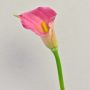 Zantedeschia artificiel TALEA, fuchsia, 65cm, 9x11cm
