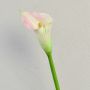 Zantedeschia artificiel TALEA, blanc-rose, 65cm, 9x11cm