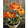 Renoncule en tissu JOSEPHINA en pot en argile, orange, 30cm