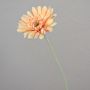 Gerbera en soie VIRGINIA, crème-rose, 55cm, Ø11cm