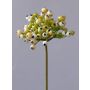 Fausse tige de pyracantha CLEO, baies, crème-vert, 20cm