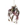 Panier suspendu avec bégonia maculata artificiel VIALO, pot décoratif, vert-blanc, 80cm