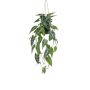 Panier suspendu avec Alocasia sanderiana artificiel XEZOR, pot décoratif, vert-blanc, 80cm