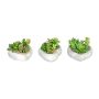 Arrangement artificiel de plantes succulentes SORIPI, 3 pièces, coupe en ciment en forme de cœur, vert-rose, 7cm