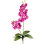 Orchidée Phalaenopsis en tissu MORLEK, piquet, racines, rose fuchsia, 60cm