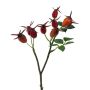 Branche décorative d'églantier BRULFI avec des cynorrhodons, orange, 25cm