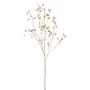 Branche décorative Rosier du Japon BLINTO avec des cynorrhodons, or métallique, 135cm