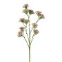 Branche décorative Achillée GRUNTO, rose, 65cm