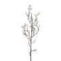 Branche décorative de gaultheria KLIMOR, baies, argenté, 60cm