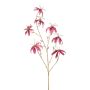 Gloriosa en velours KAZBEK, vieux rose-or, 110cm