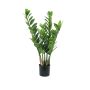 Zamioculcas Zamiifolia artificiel AKELA, vert, 70cm