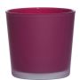 Pot à plantes en verre ALENA FROST, magenta mat, 11cm, Ø11,5cm