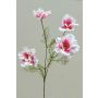 Branche de fleurs décorative Cosmos PRESTIOSA, blanc-rose, 75cm