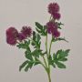 Branche fleurie artificielle Chardon boule TRAUDLINDE, violet, 55cm