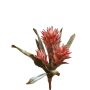 Guzmania en velours WALFRIEDE sur piquet, vieux rose, 50cm