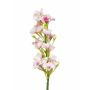 Phlox artificiel ALSA, blanc-rose, 35cm, Ø5cm