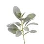 Fausse branche d'épiaire laineuse FERRIS, gris-vert, 40cm