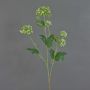 Branche de viburnum opulus artificielle TENSHI, vert, 90cm