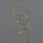 Branche de noisetier artificielle XANCHO, chatons, brun, 65cm