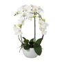 Orchidée Phalaenopsis en tissu INAKES, pot en céramique, racines, blanc, 50cm