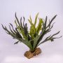 Fougère corne d’élan artificielle CHARLS, piquet, vert, 45cm, Ø80cm