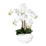 Orchidée Phalaenopsis artificielle ZALBROK, vase décoratif blanc, racines, blanc, 75cm