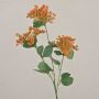 Achillée millefeuille artificielle WONDI, orange, 65cm