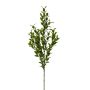 Branche décorative de fragon petit-houx SNERLO, vert, 70cm