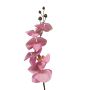 Tige artificielle d'orchidée Phalaenopsis LANUA, rose, 75cm