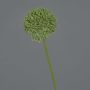 Fleur artificielle Allium BAILIN, vert, 40cm