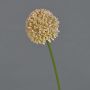 Fleur artificielle Allium BAILIN, rose-crème, 40cm